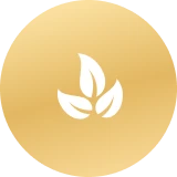 Thai Oil Combination Massage Thai Oil Combination Massage